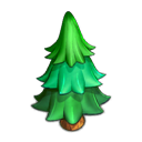 Evergreen Tree