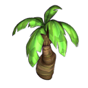 Palm Tree