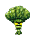 Broccoli Guy